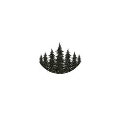 Dunand Pierre